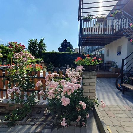 David Home 56 Znojmo Dış mekan fotoğraf