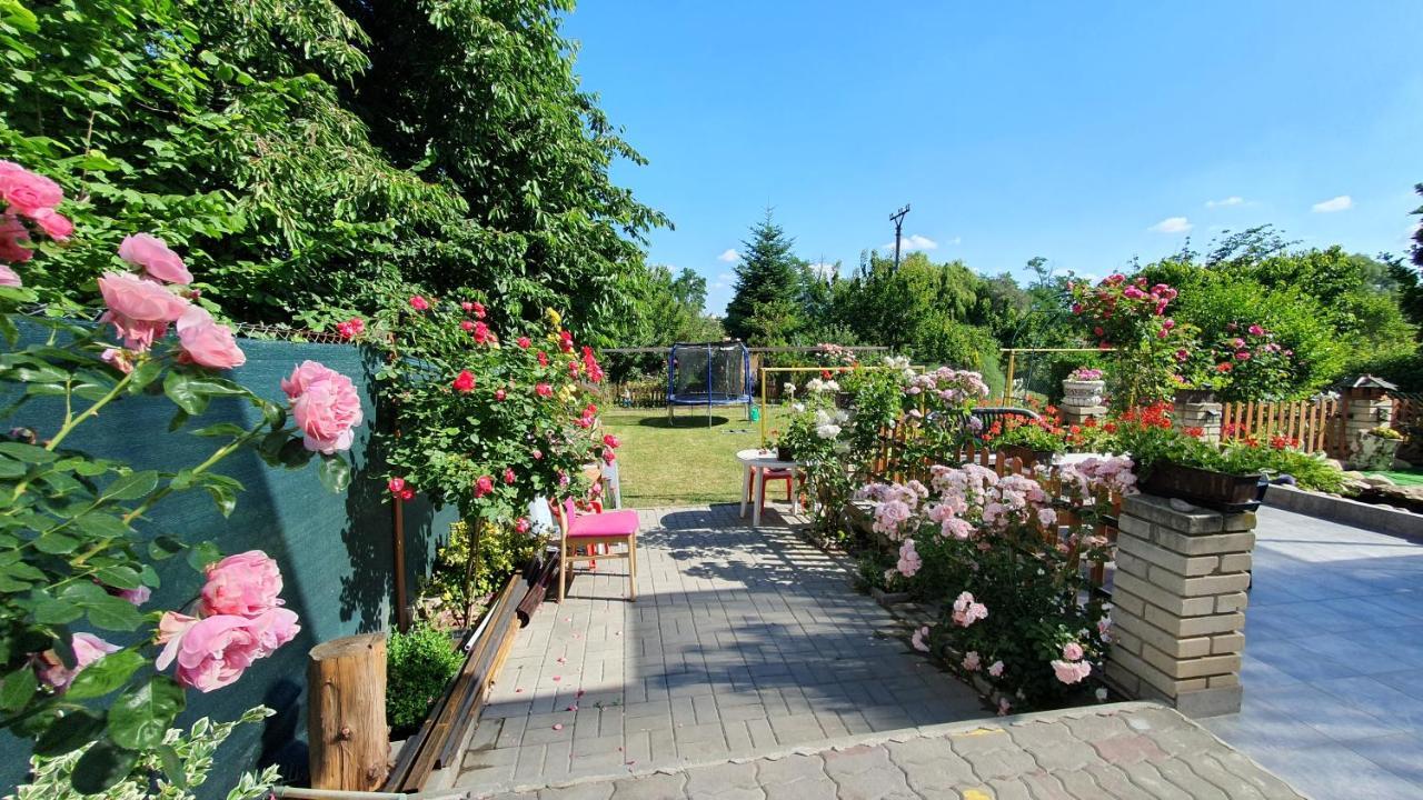 David Home 56 Znojmo Dış mekan fotoğraf