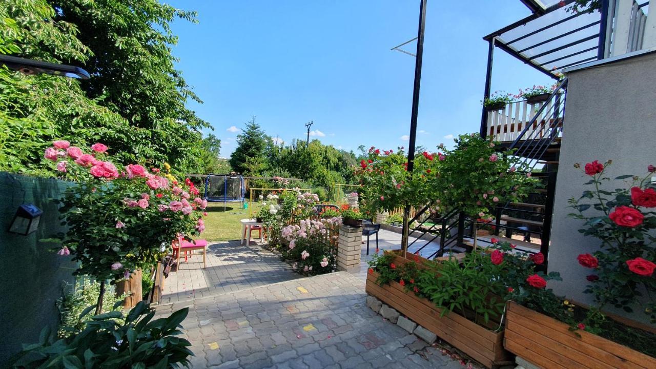 David Home 56 Znojmo Dış mekan fotoğraf