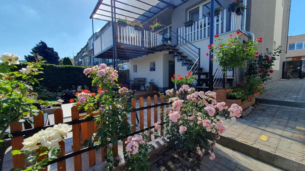 David Home 56 Znojmo Dış mekan fotoğraf