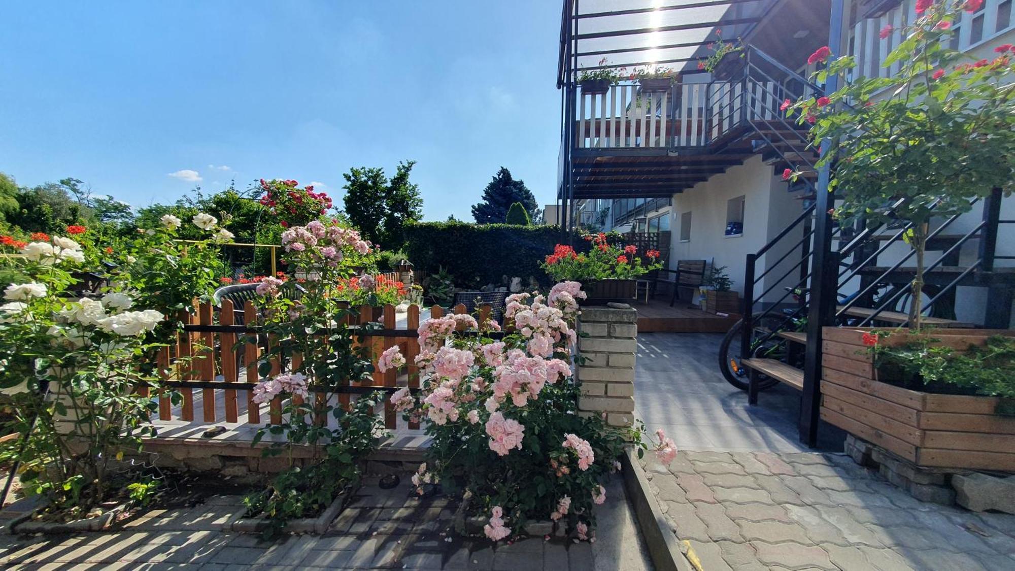 David Home 56 Znojmo Dış mekan fotoğraf